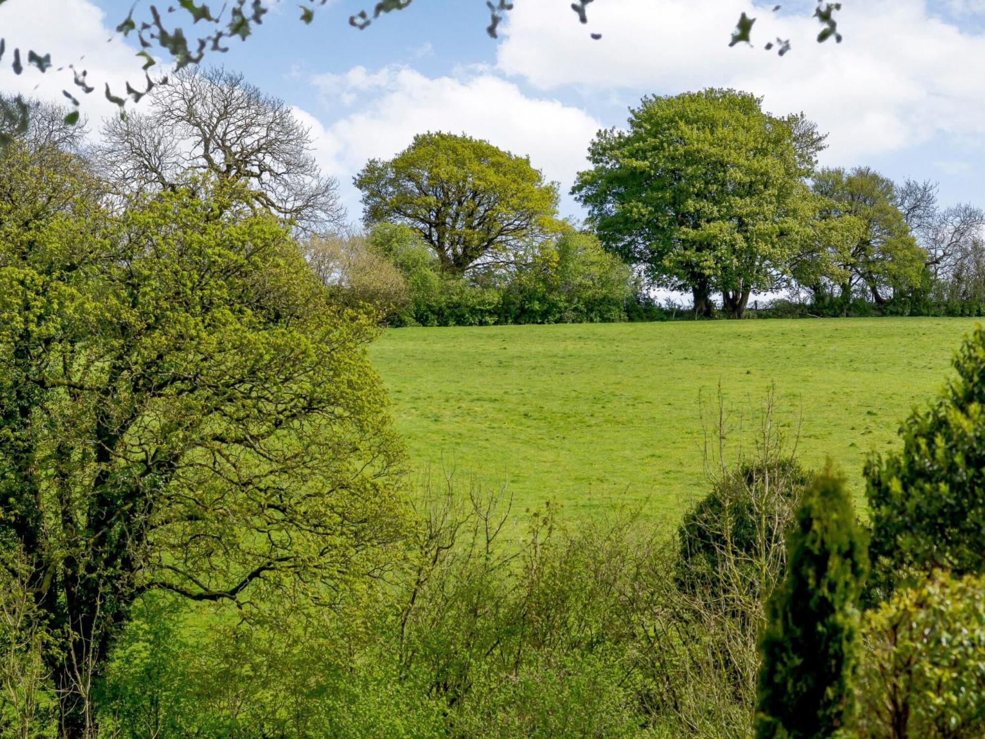 Marigold Villa Shepton Mallet Eksteriør billede